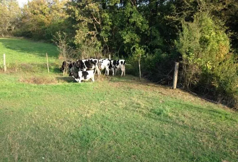 هتل Agriturismo San Giovanni