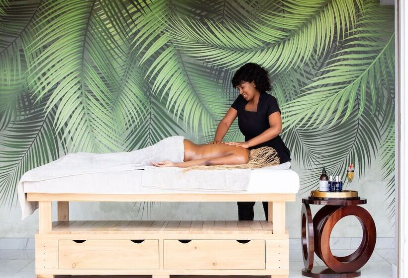 פנסיון Dolphin Bay Boutique Hotel And Spa