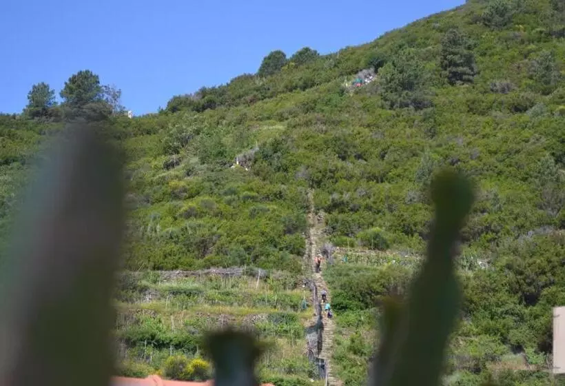 ペンション In Tracastello   Air Cond   Parking Not Included