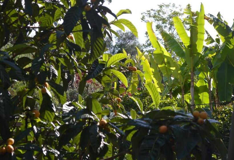 펜션 In Tracastello   Air Cond   Parking Not Included