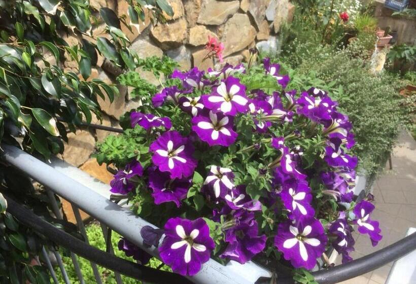 펜션 In Tracastello   Air Cond   Parking Not Included