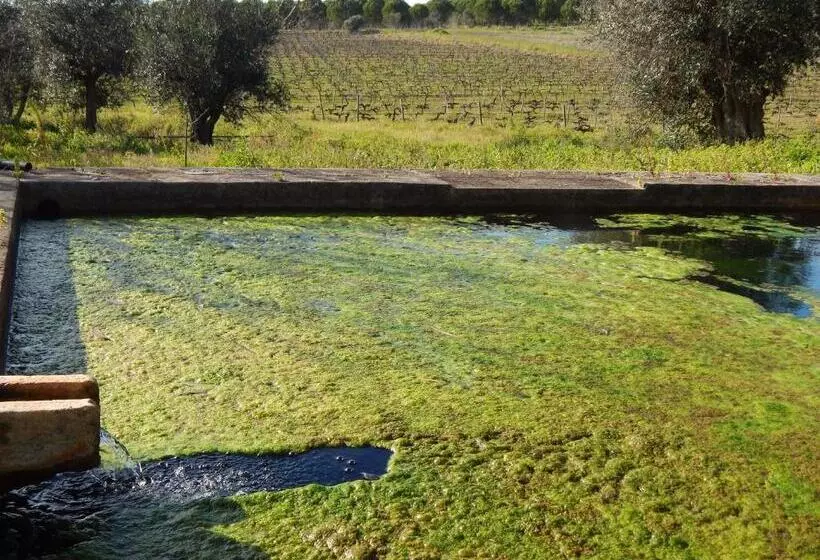 Majatalo Quinta Das Ratoeiras