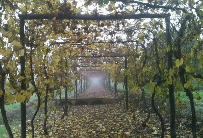 Majatalo Quinta Das Ratoeiras