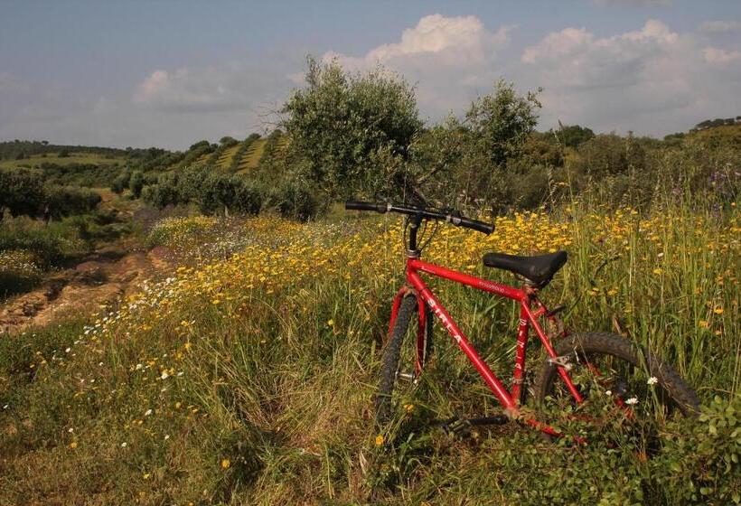 膳宿费 Quinta Das Ratoeiras