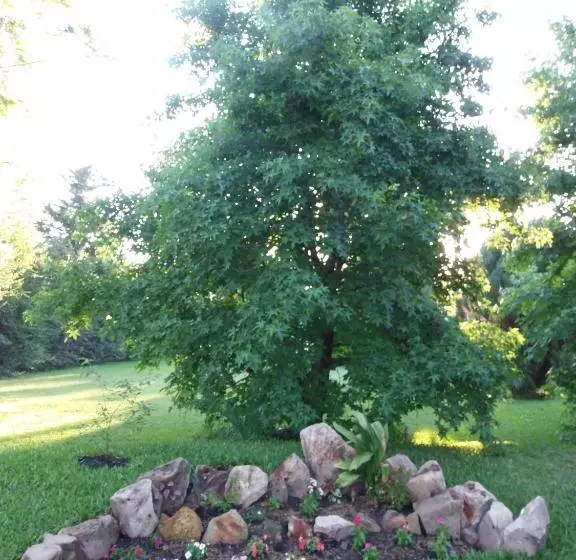 Retkeilymaja Hostal Canela