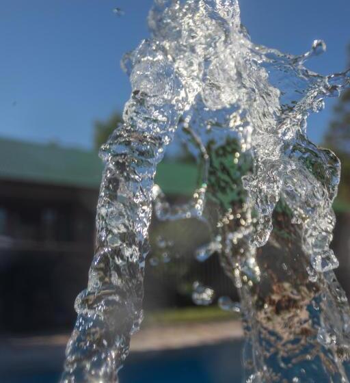 ユースホステル Hostal Canela