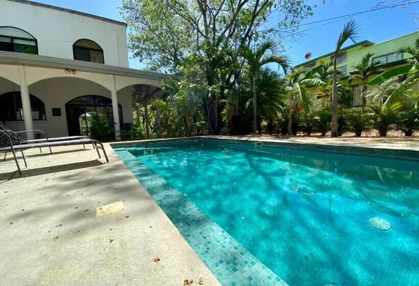 پانسیون Casa Alice Marbella Lodge