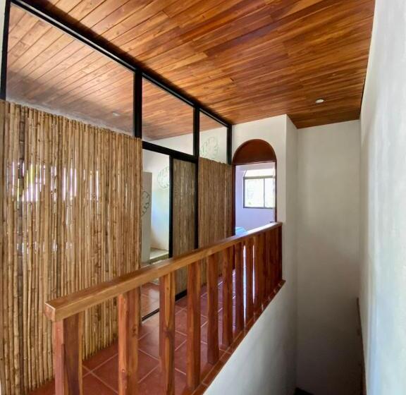 膳宿费 Casa Alice Marbella Lodge