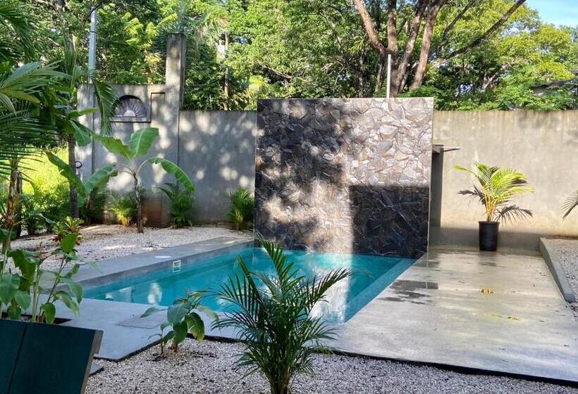 膳宿费 Casa Alice Marbella Lodge