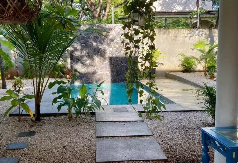پانسیون Casa Alice Marbella Lodge