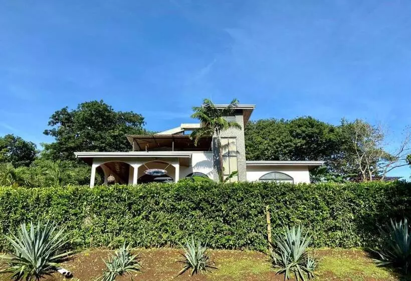 پانسیون Casa Alice Marbella Lodge