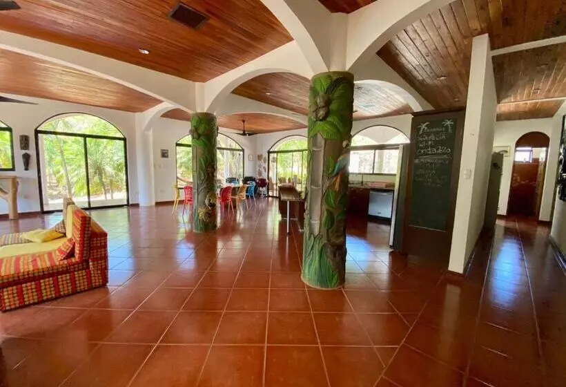 پانسیون Casa Alice Marbella Lodge