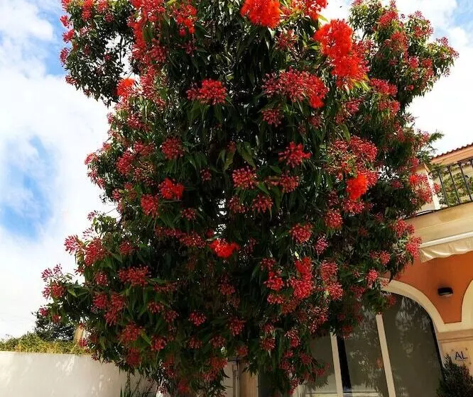 Majatalo Cosy Sintra