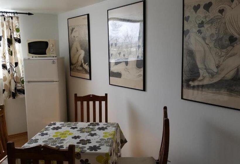 پانسیون Lagarfell Studios