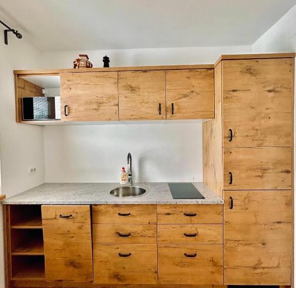 پانسیون Apartment And Rooms Maraton