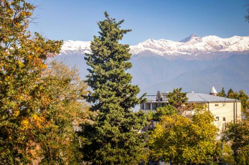 پانسیون Tin Tina Guesthouse