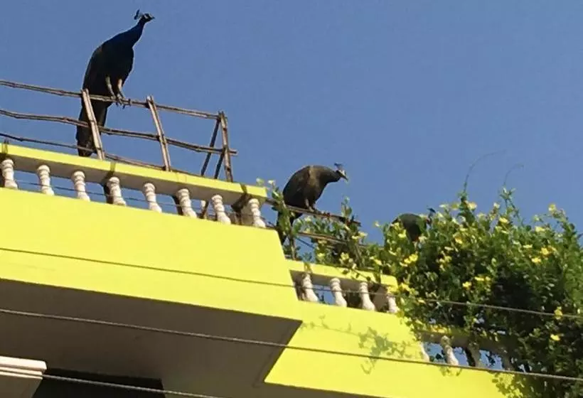 ペンション Arunachala Ramana Home