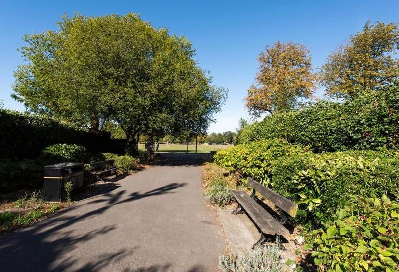 Apartments On The Park