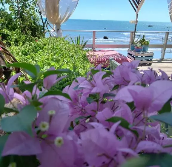 Pension Aloha