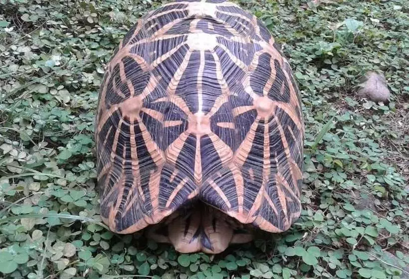 Majatalo Katagamuwa Rest