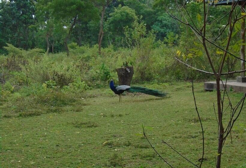 Pension (Hôtel basse catégorie) Katagamuwa Rest