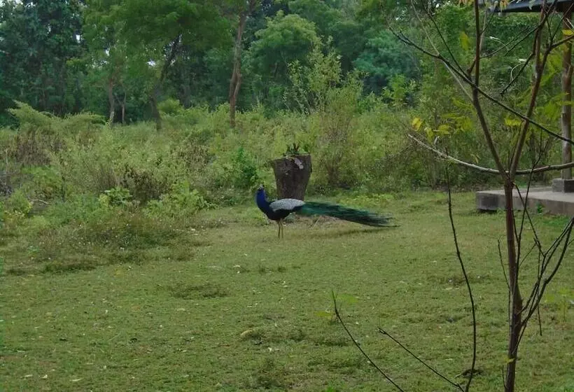 Majatalo Katagamuwa Rest