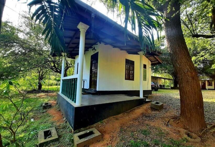 Pensió Katagamuwa Rest