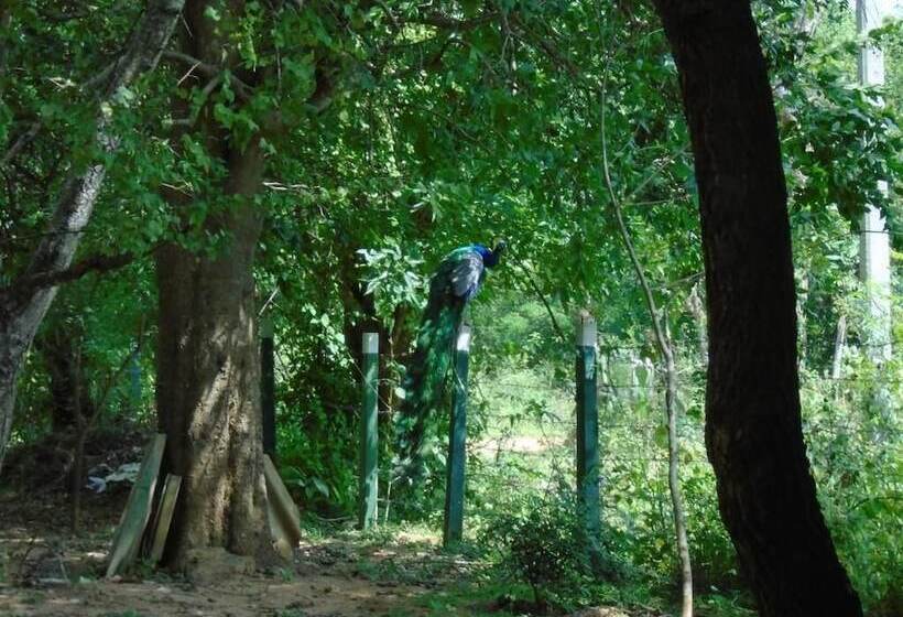 Pensiune Katagamuwa Rest