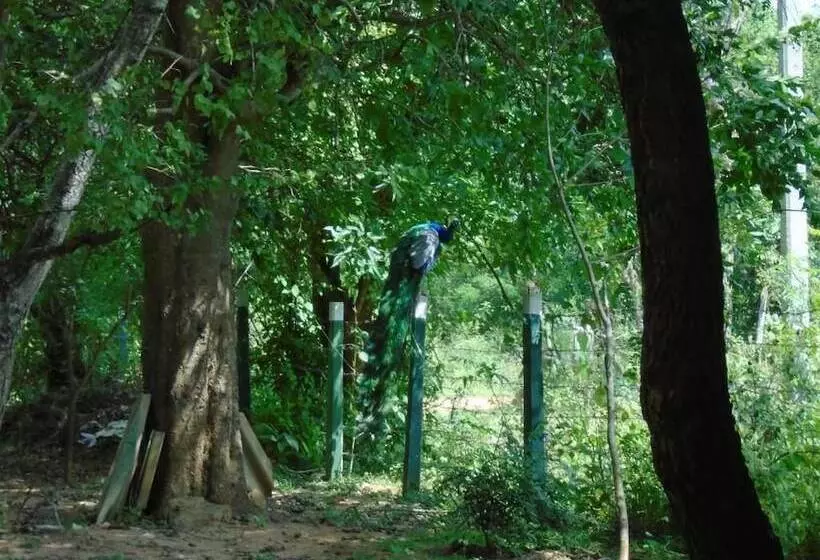 Majatalo Katagamuwa Rest