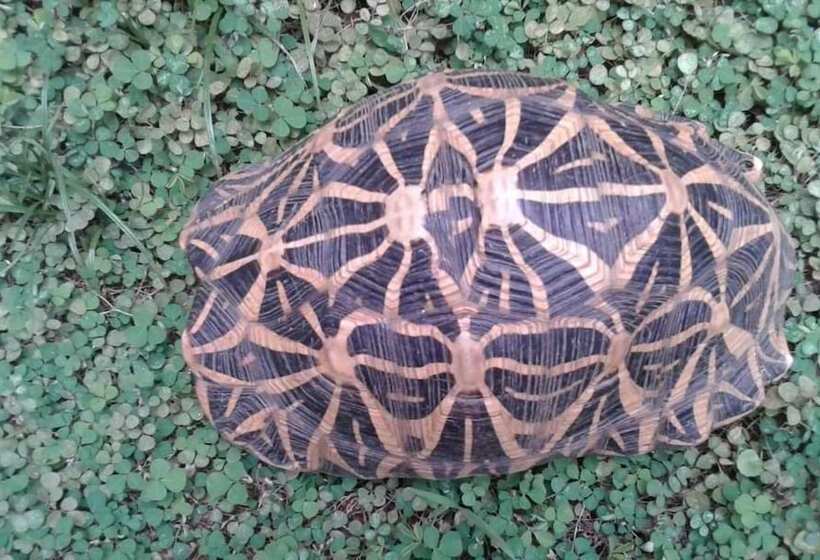 Pensió Katagamuwa Rest