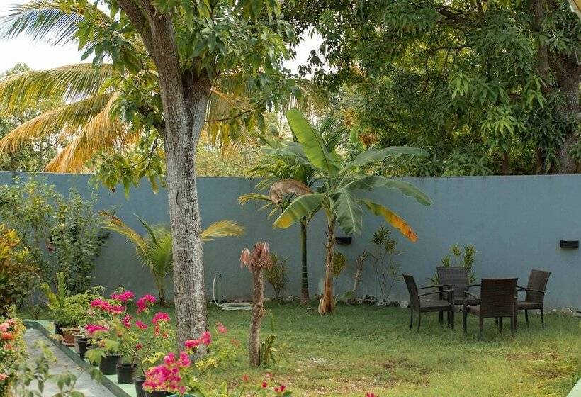 پانسیون Vieni Qua Grand