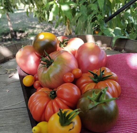 ユースホステル Finca La Clementina