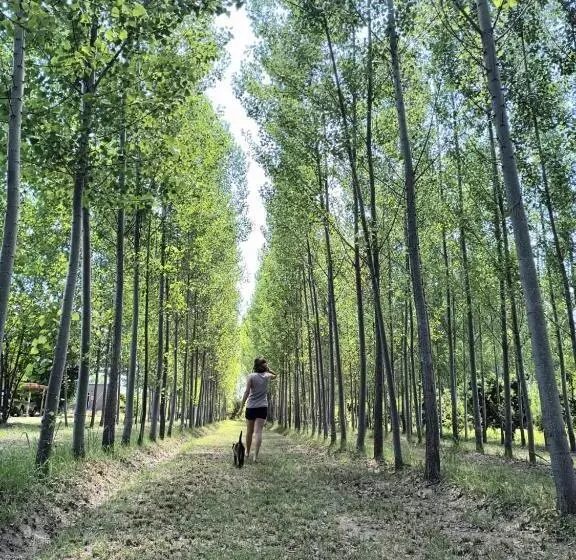 ユースホステル Finca La Clementina