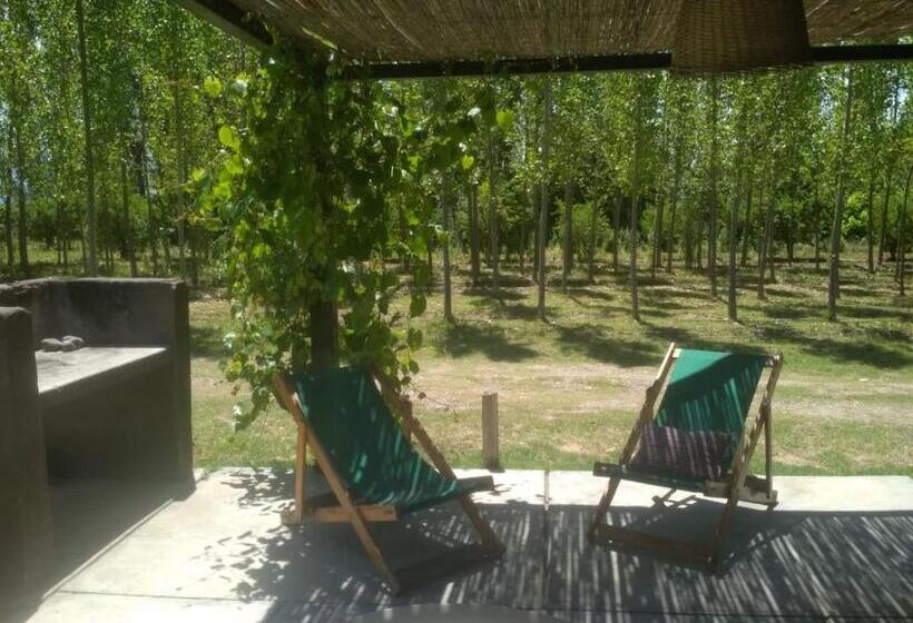 ユースホステル Finca La Clementina