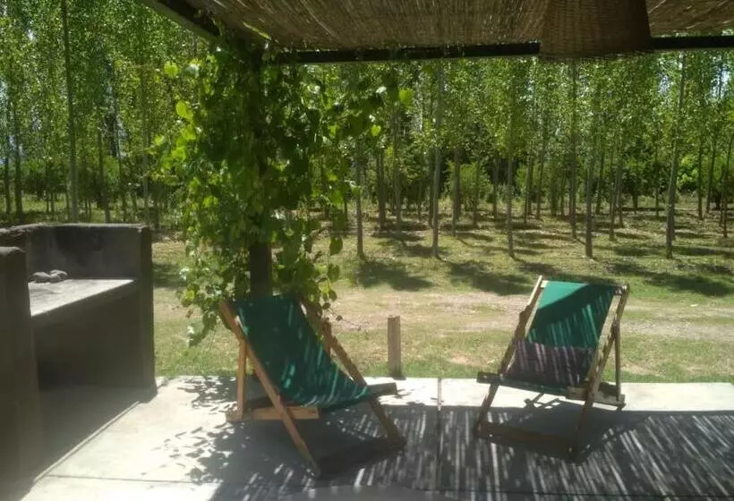 ユースホステル Finca La Clementina