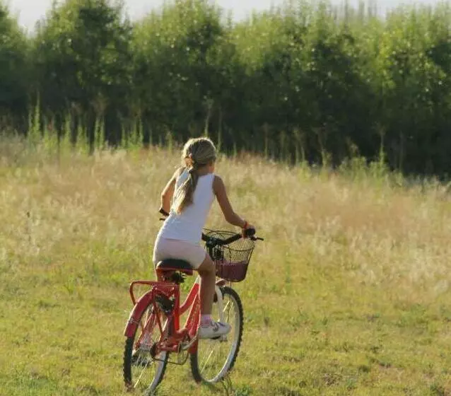 ユースホステル Finca La Clementina