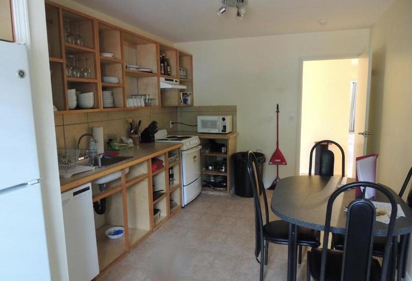 הוסטל Misty Harbour Inn