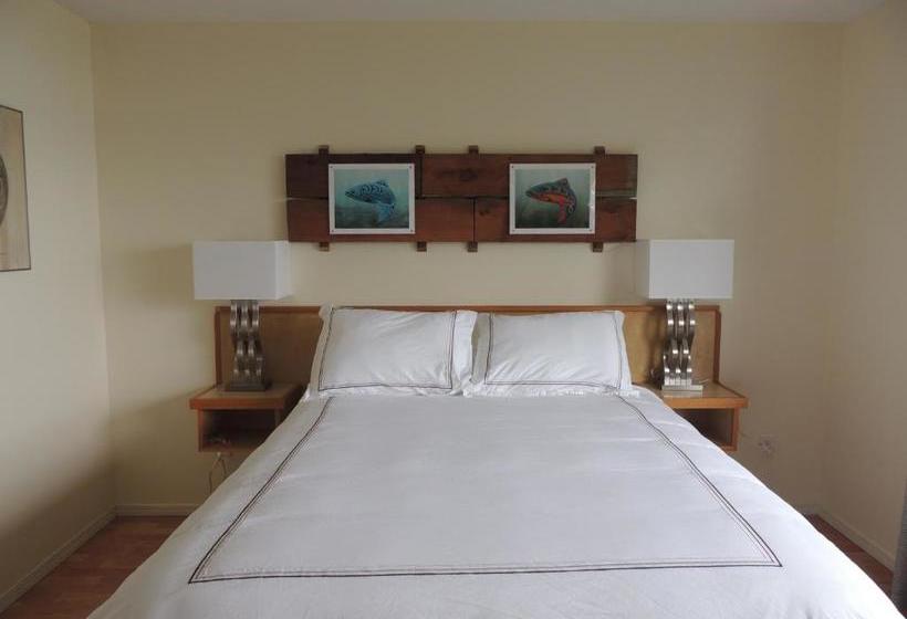 הוסטל Misty Harbour Inn