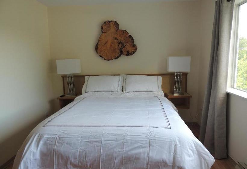 הוסטל Misty Harbour Inn