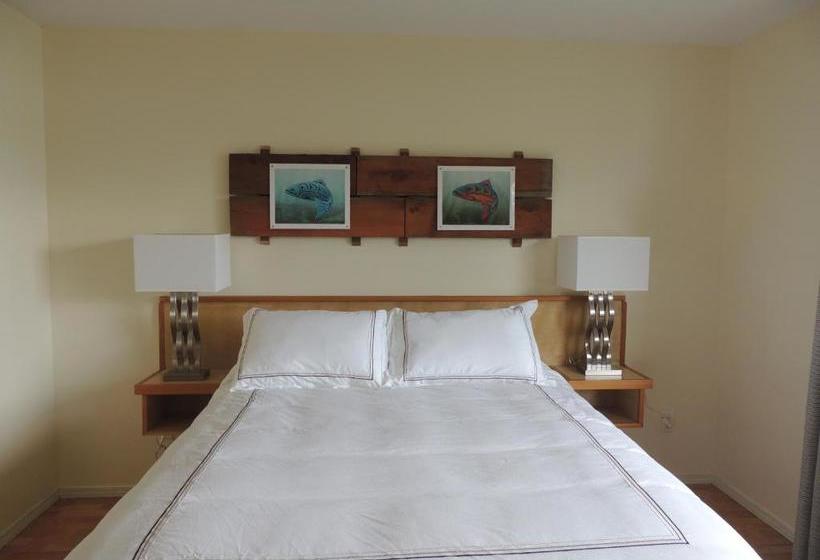 הוסטל Misty Harbour Inn