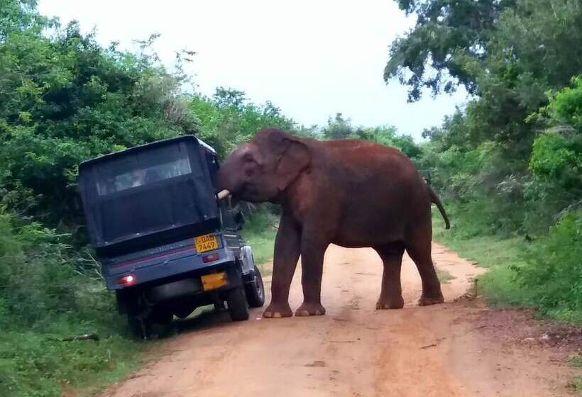 بنسيون Amawin Resort