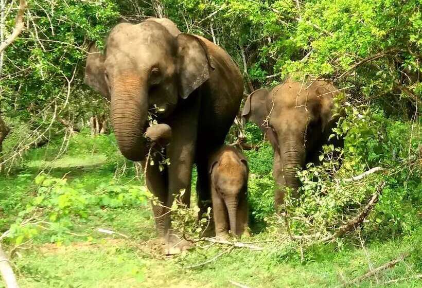 بنسيون Amawin Resort