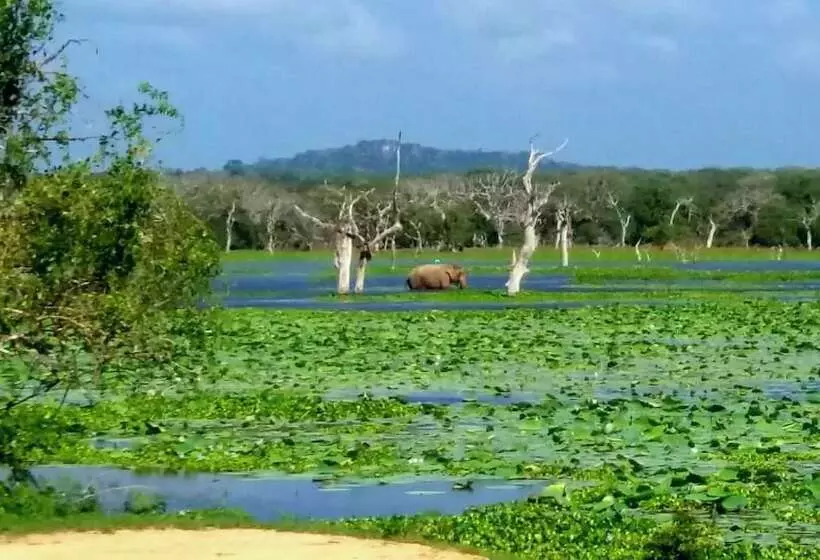 پانسیون Amawin Resort