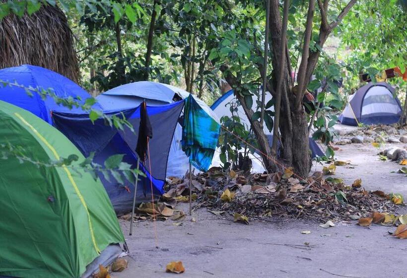 پانسیون La Aldea Hostel, Camping Y Hamacas