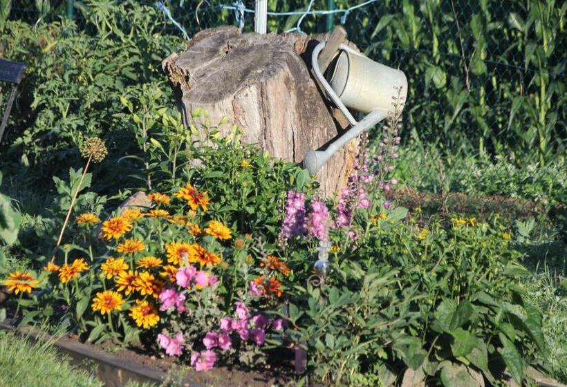 ペンション Radler's Hof