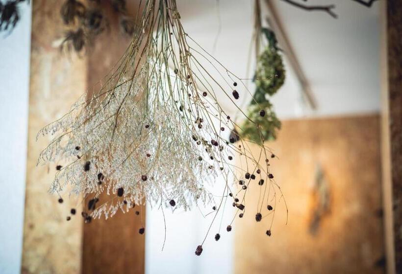 بنسيون 3ldk Denchi