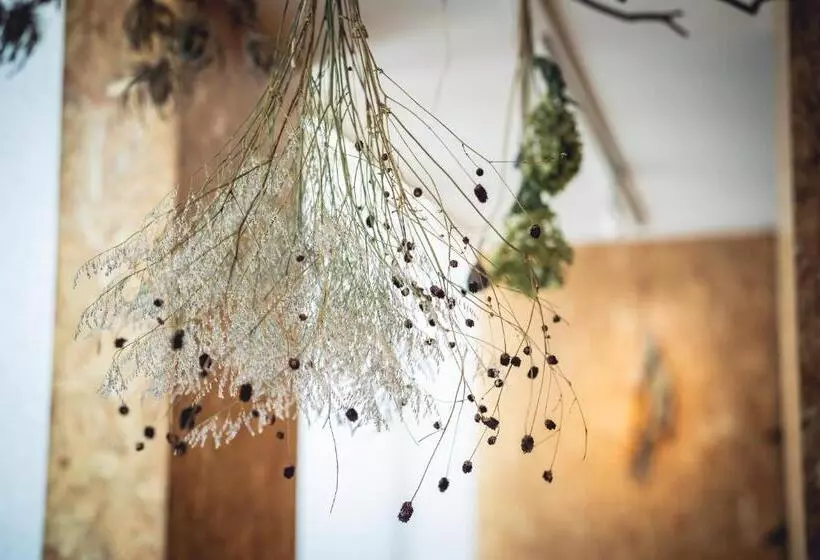 Majatalo 3ldk Denchi