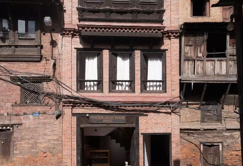 پانسیون Peacock Guesthouse 2