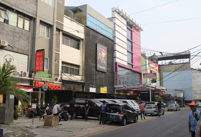 Sleepy Raccoon Hostel