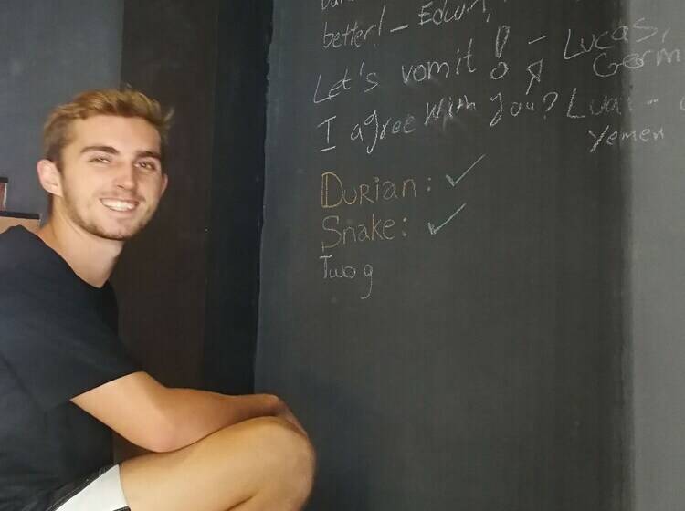 Sleepy Raccoon Hostel